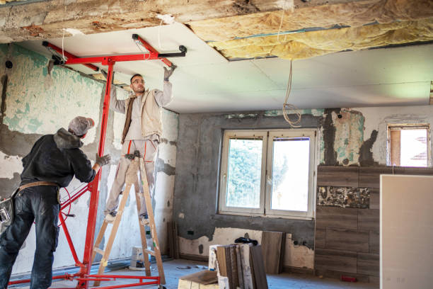 Best Wall Insulation Contractor  in Watertown, WI