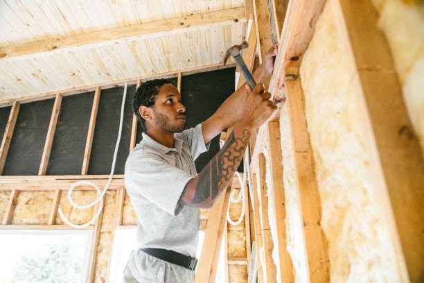 Best Insulation Inspection Services  in Watertown, WI