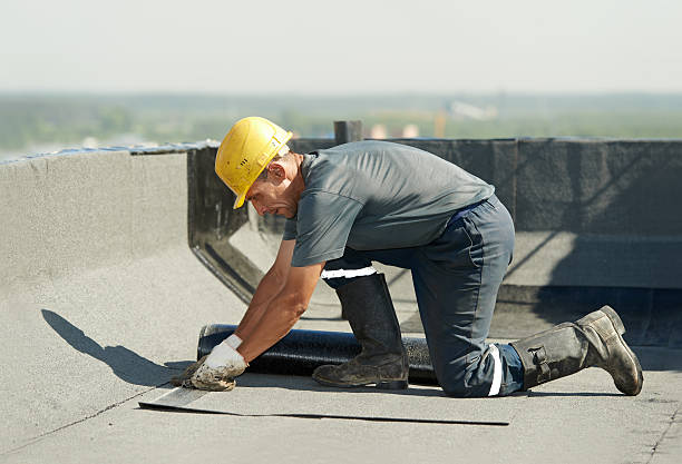 Best Best Insulation Companies  in Watertown, WI